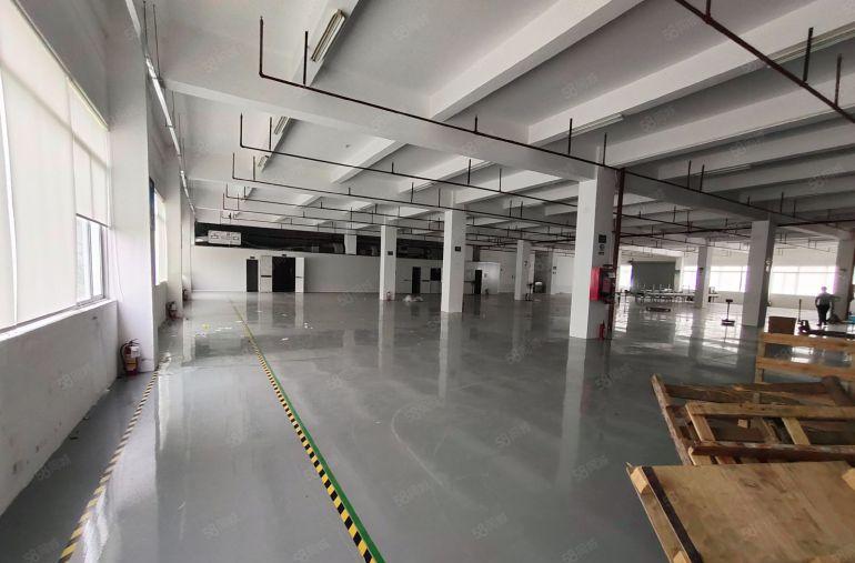 大浪商业中心! 无尘车间1500平厂房出租 工业园