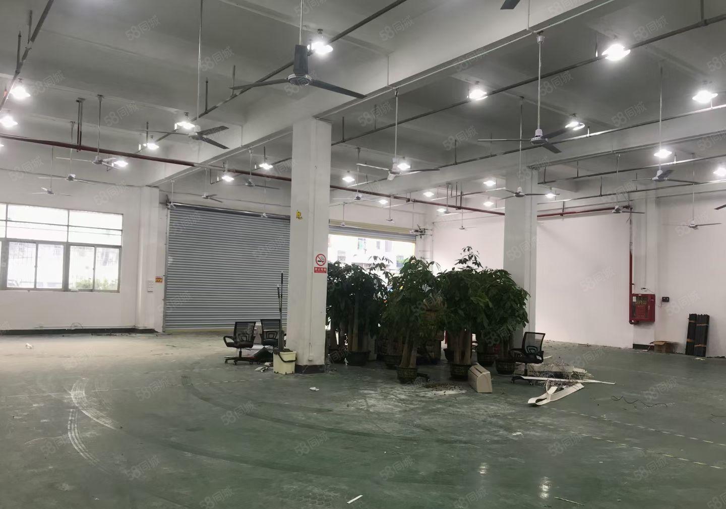 大浪商业中心，标准厂房一楼，门口空地大，进出车方便，行业不限