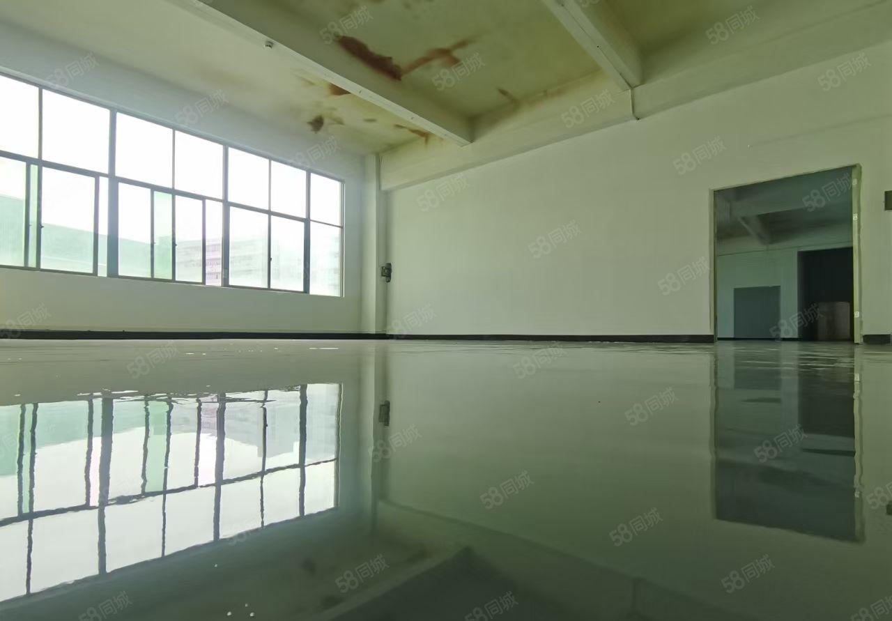 大浪25元，25元每平，精装600平厂房出租