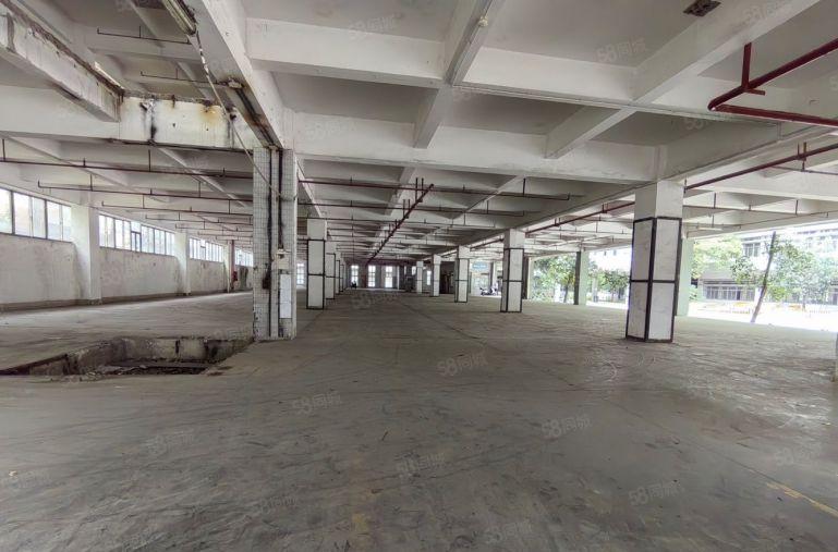龙华元芬地铁花园厂房3000平出租 200平起园区停车位充足