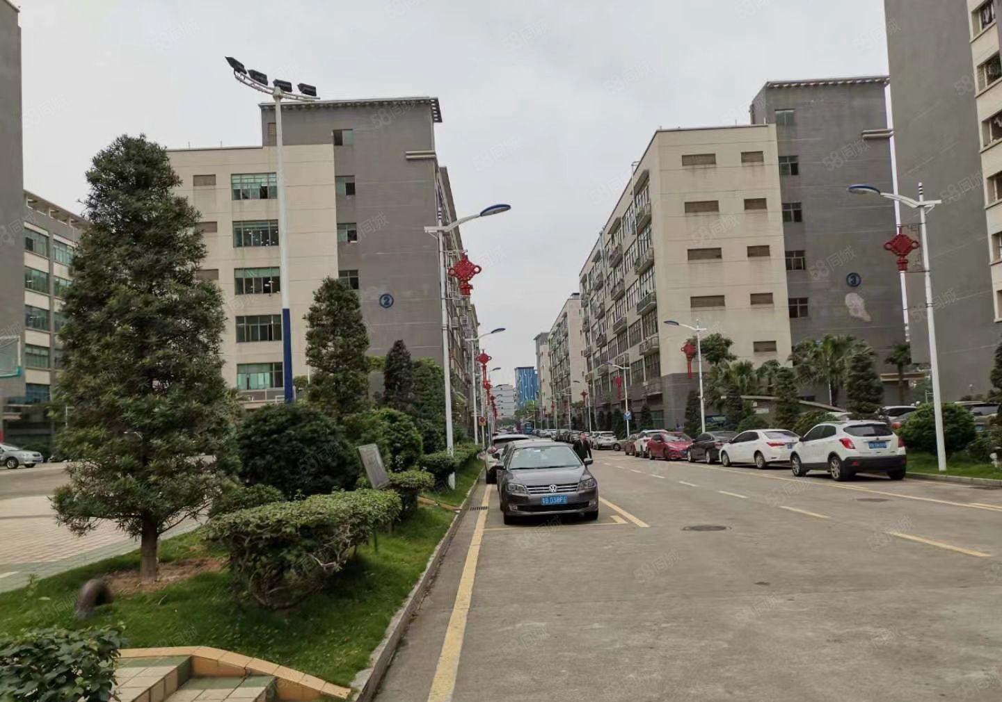 深圳龙华油松精装修厂房1850出租