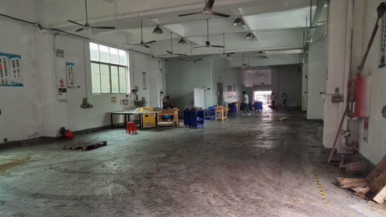 龙华分院附近700平方一楼厂房招租适合各类加工仓库等行业入驻