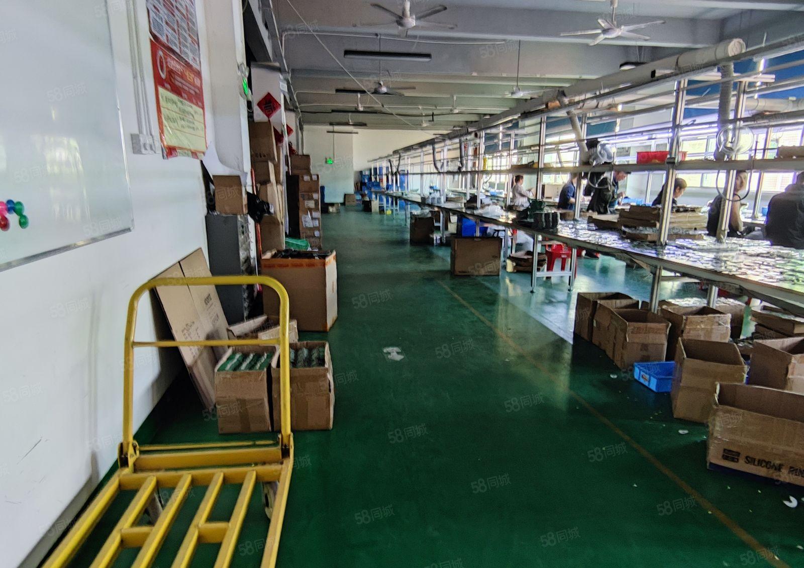 观澜有轨电车旁厂房出租600平方 带现成装修不要装让费