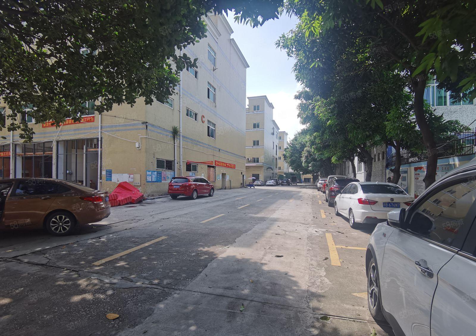 观澜松元环观中路有轨电车站台附近新出1200平楼上厂房出租。