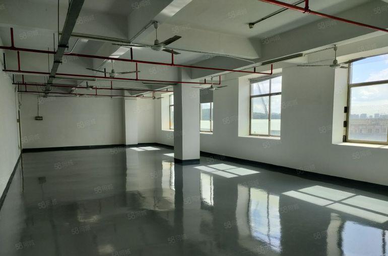 龙华浪口宝柯工业园精装修全新地坪漆白墙430平米厂房出租