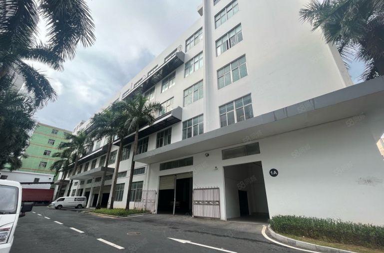 龙华地铁口原房东厂房出租一楼1000平单价26元起，行业不限