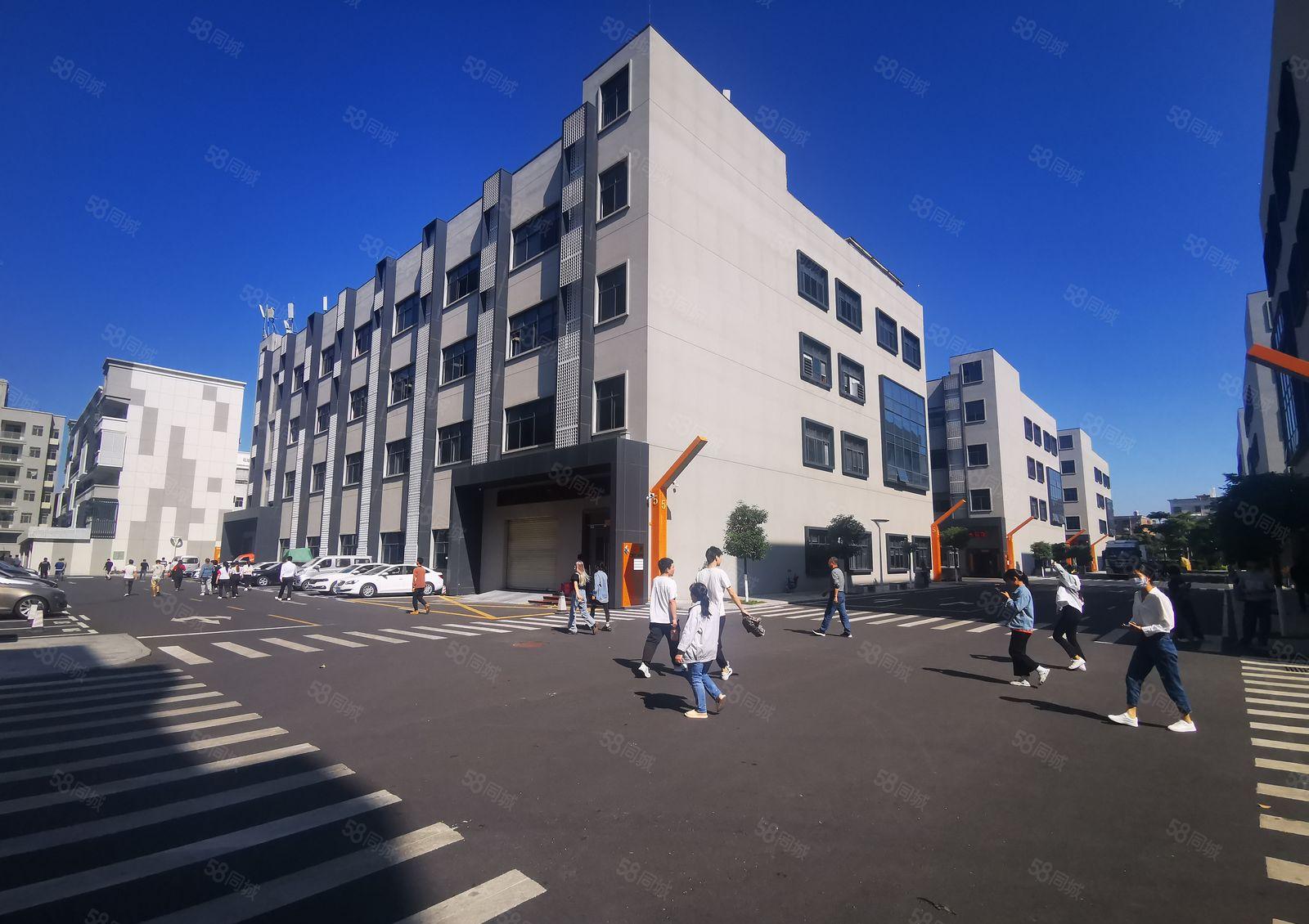 龙华大浪原房东独栋红本厂房实际面积6000平出租，带精装修。