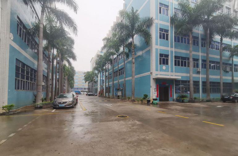 龙华厂房红本原房东整层5000平办公厂房仓库出租大小可以分租