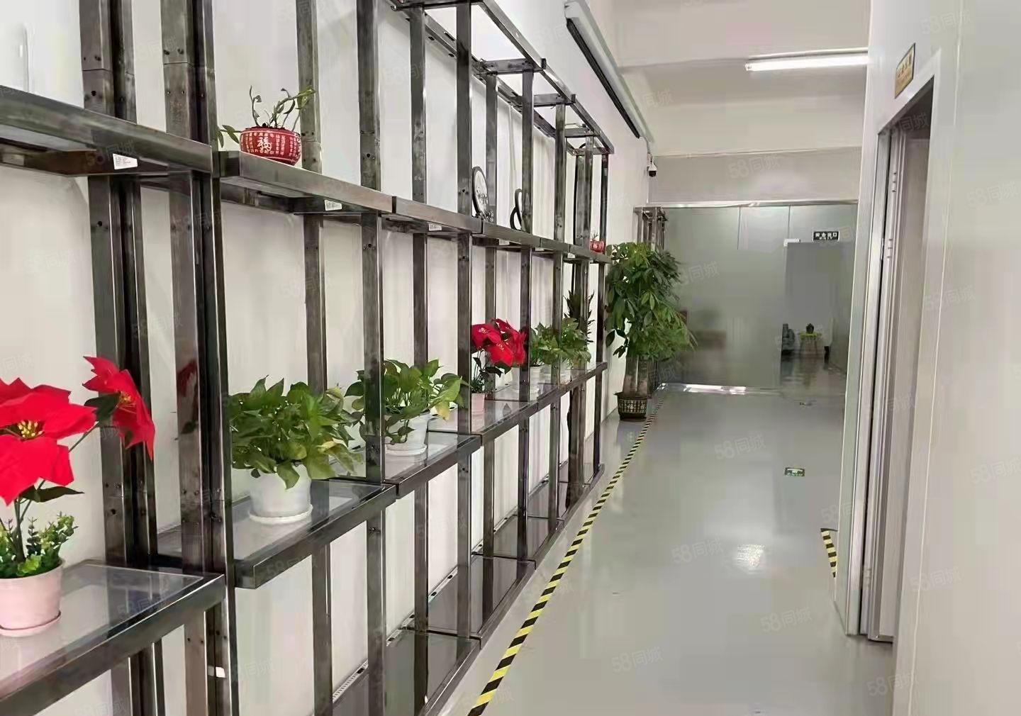 龙华大浪商业中心原房东红本1900平无尘车间厂房出租