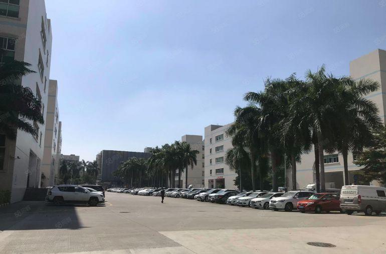 观澜桂花原房东厂房出租3000平形象好带装修大小可分租