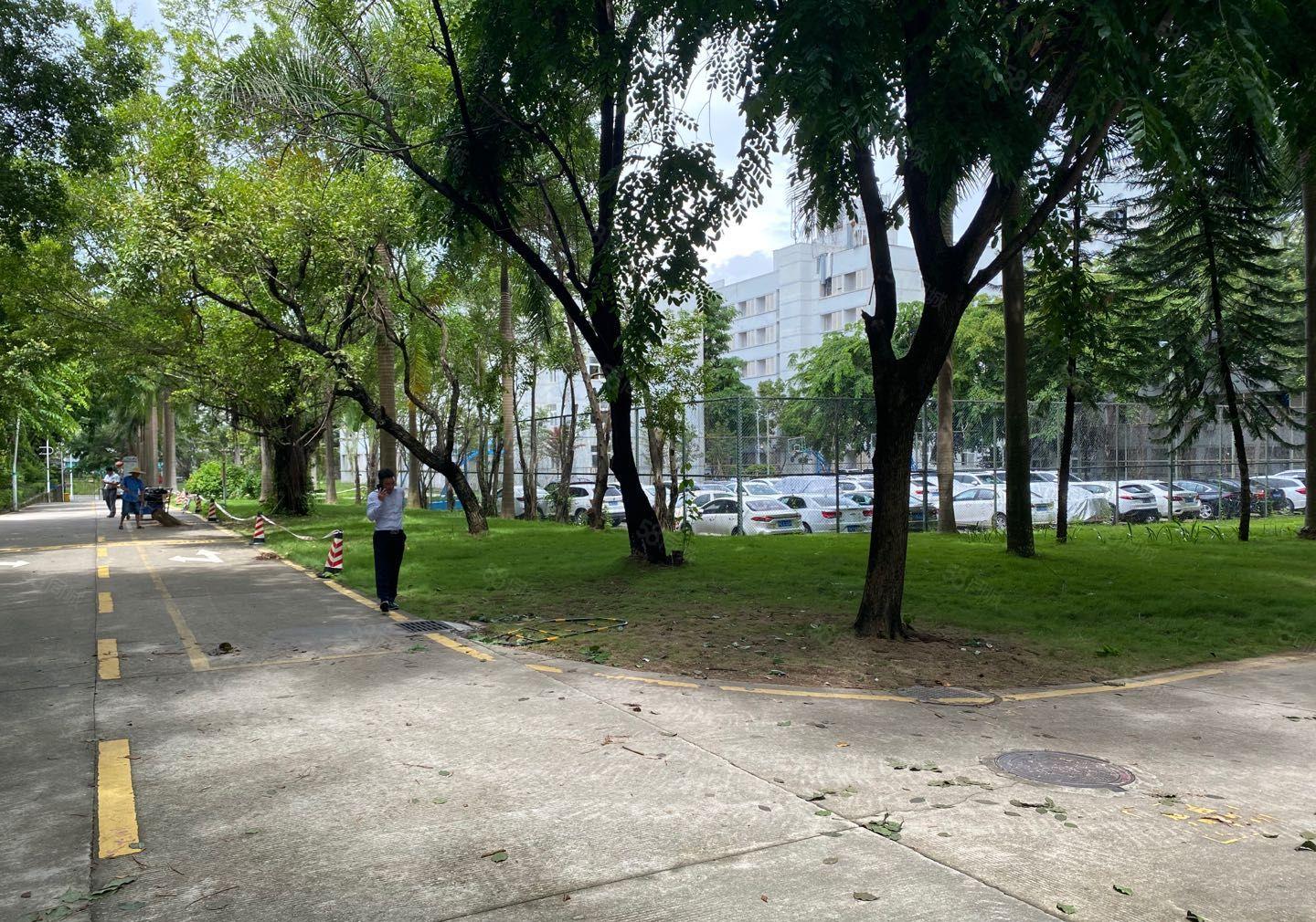 龙华大浪工业园2万平厂房出租500平起分租服装有补贴原房.