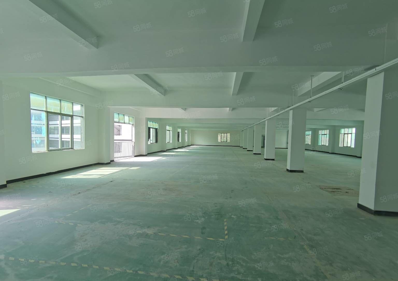 可分租小面积龙华大浪商业中心红本带装修厂房出租一楼仓库出租