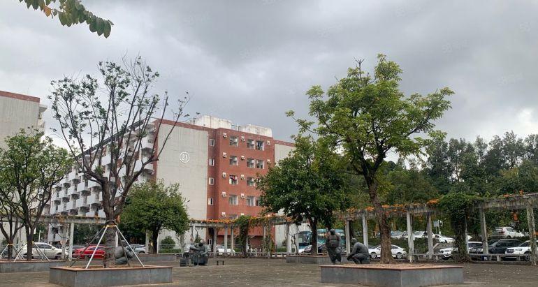 大浪高新园红本独栋37000平厂房仓库出租带无尘车间可分租