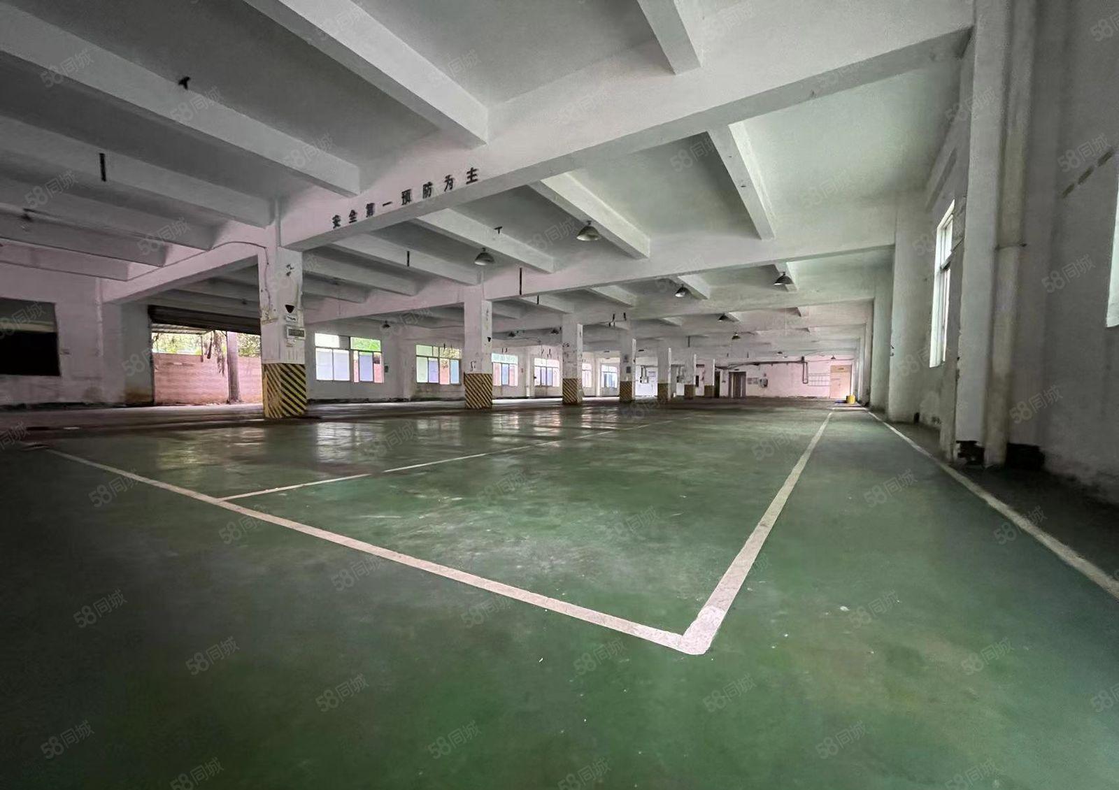 深圳观澜大富工业区新出独门独院6000平方红本厂房出租