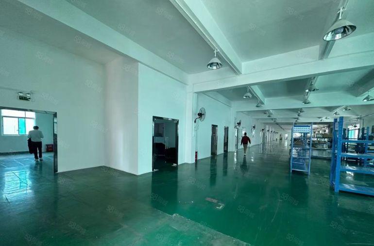 原房东 红本独院厂房5000平米招租