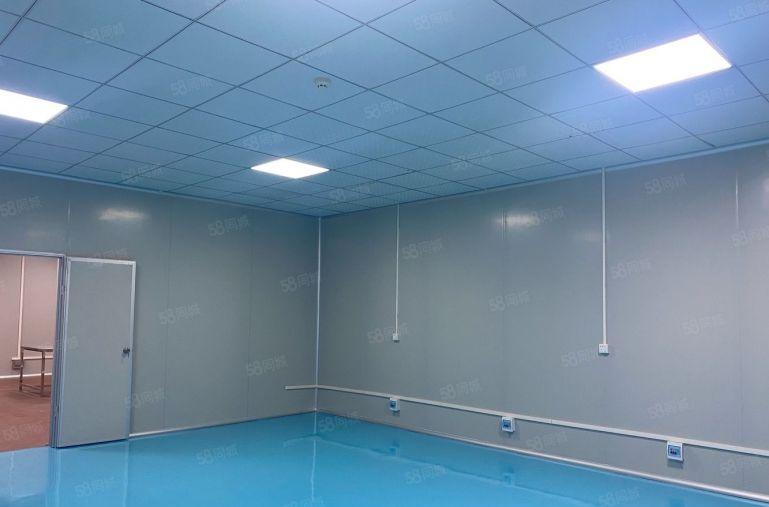 无尘，净化车间出租。龙华大浪精装修厂房480平，免转让费