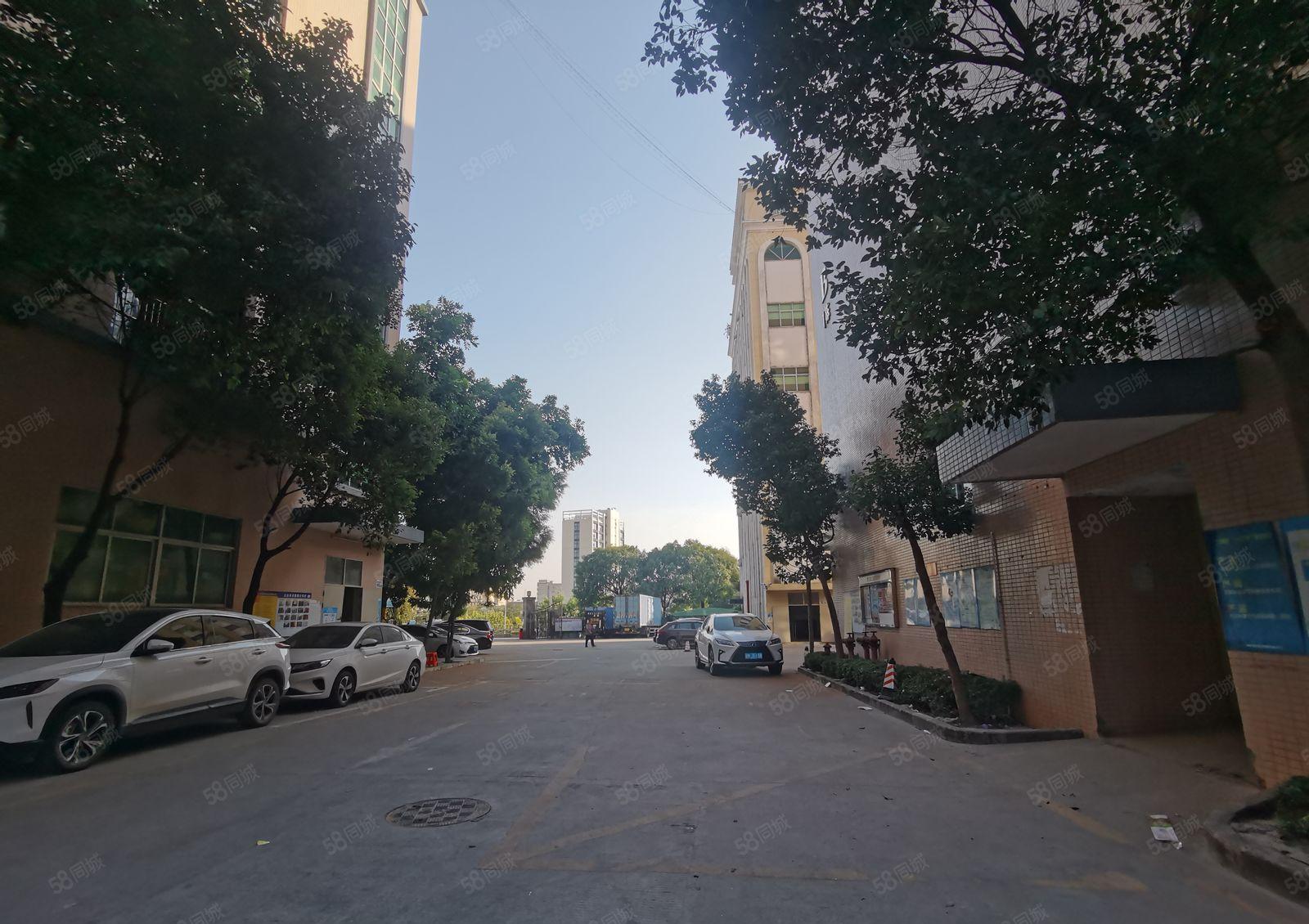 章阁主干道边原房东大型园区楼上带装修厂房出租，面积550平米