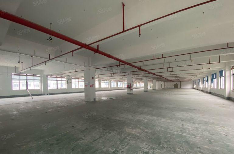 200平至10000平龙华元芬地铁口厂房出租仓库分租带办公室