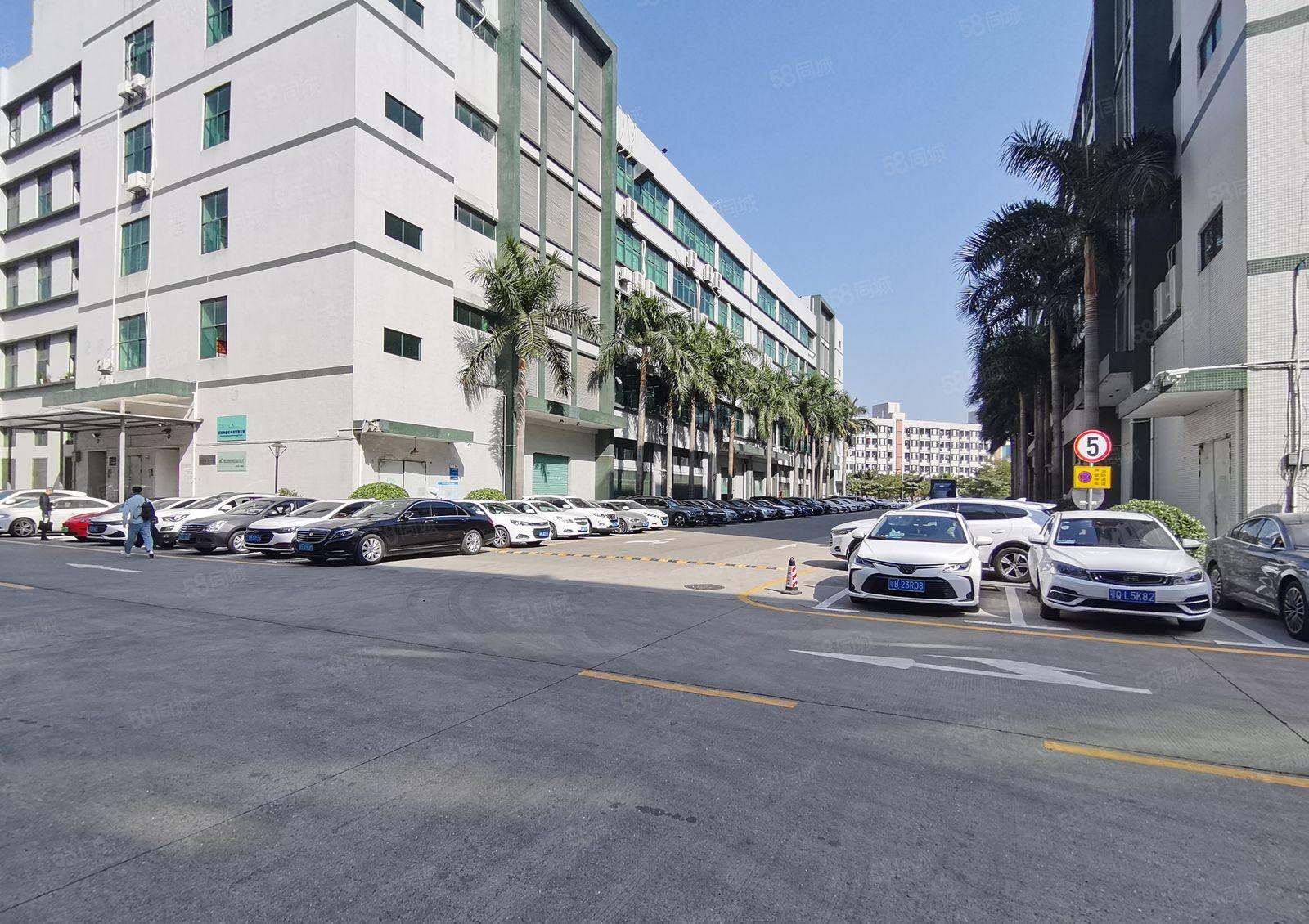 观澜章坑径二楼500至2000平方下围工业区精装修厂房出租