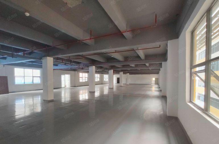 出租油松地铁站楼上500精装修红本办公室仓库50平起分