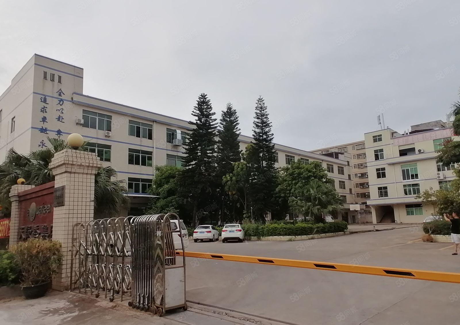 原房东！观澜原房东1.2万独院，可分租，独栋厂房仓库低价出租