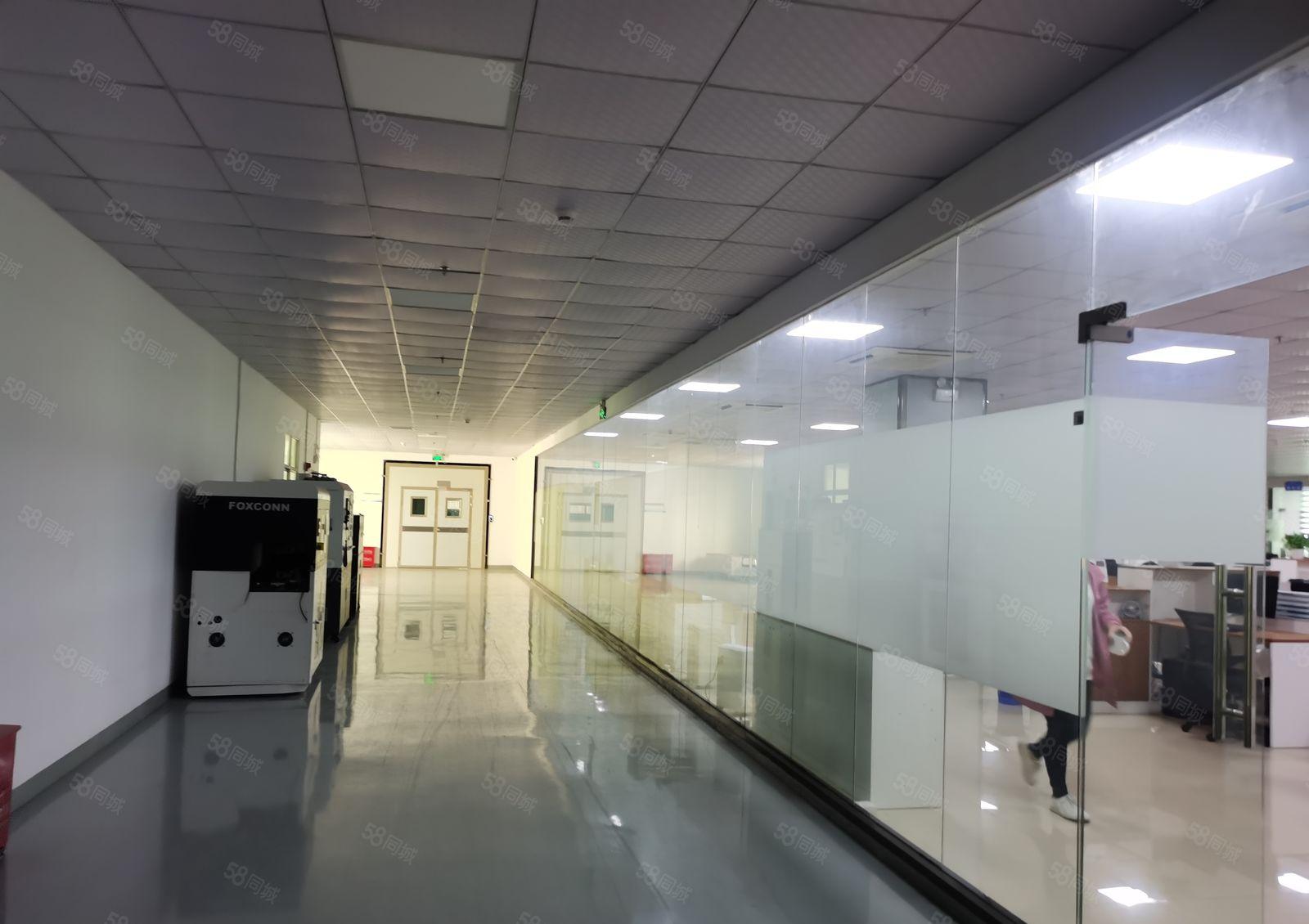 龙华区观湖街道，新出二楼3150平方，带无尘车间，厂房出租