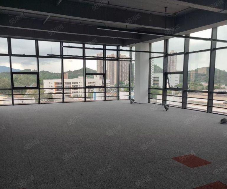 龙华观澜8000平全新红本研发厂房办公室出租 300平起分租