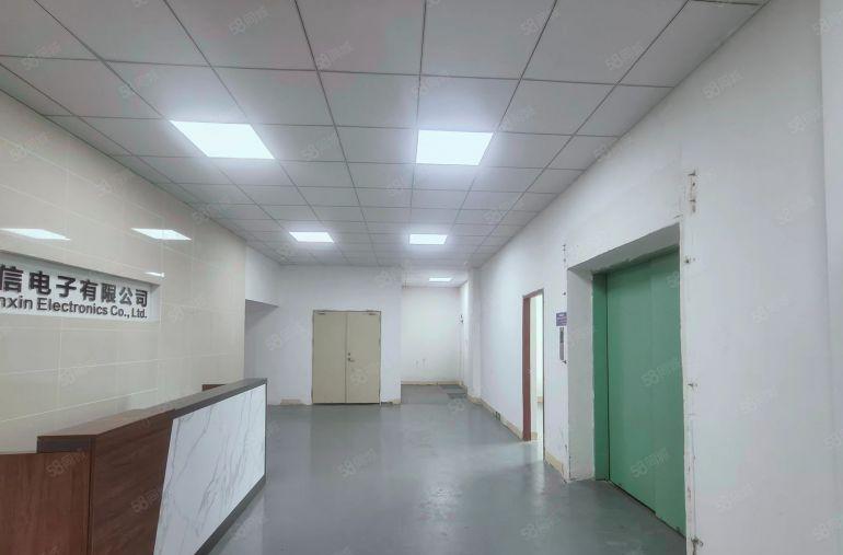 大浪850平带装修厂房可分租