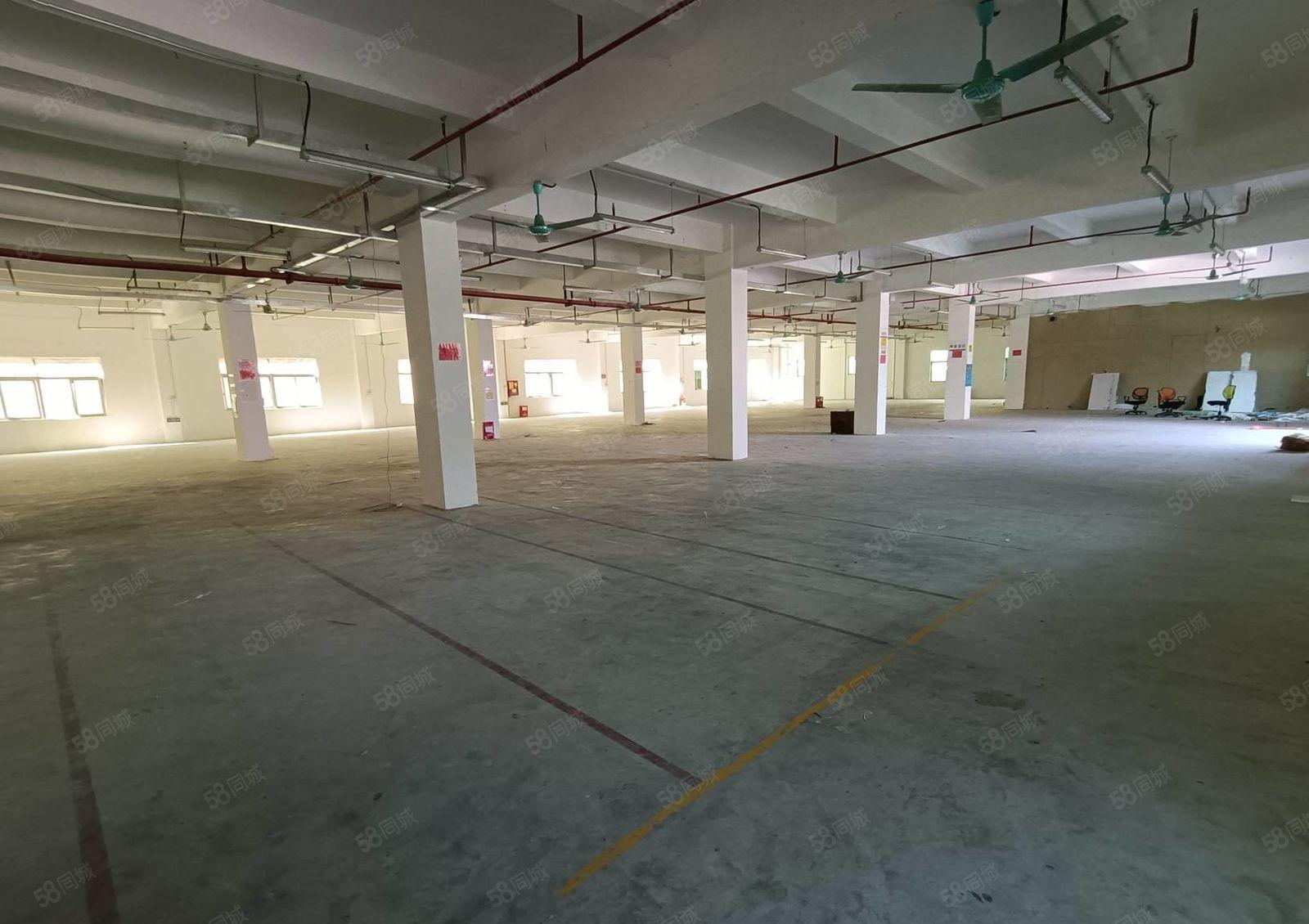 200平起租观澜原房东3万平独院红本厂房一二楼1800平出租