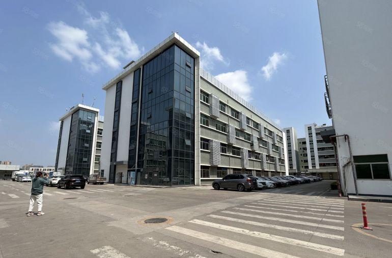 电商办公直播 龙华油松精装85至500平办公室厂房出租