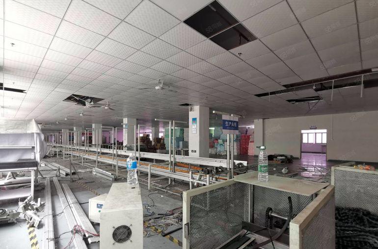 龙华清湖3000平带精装修办公室仓库厂房出租可分租