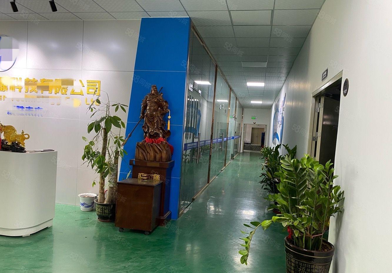 观澜新田高速口1500平方精装修原房东红本仓库厂房出租零公摊