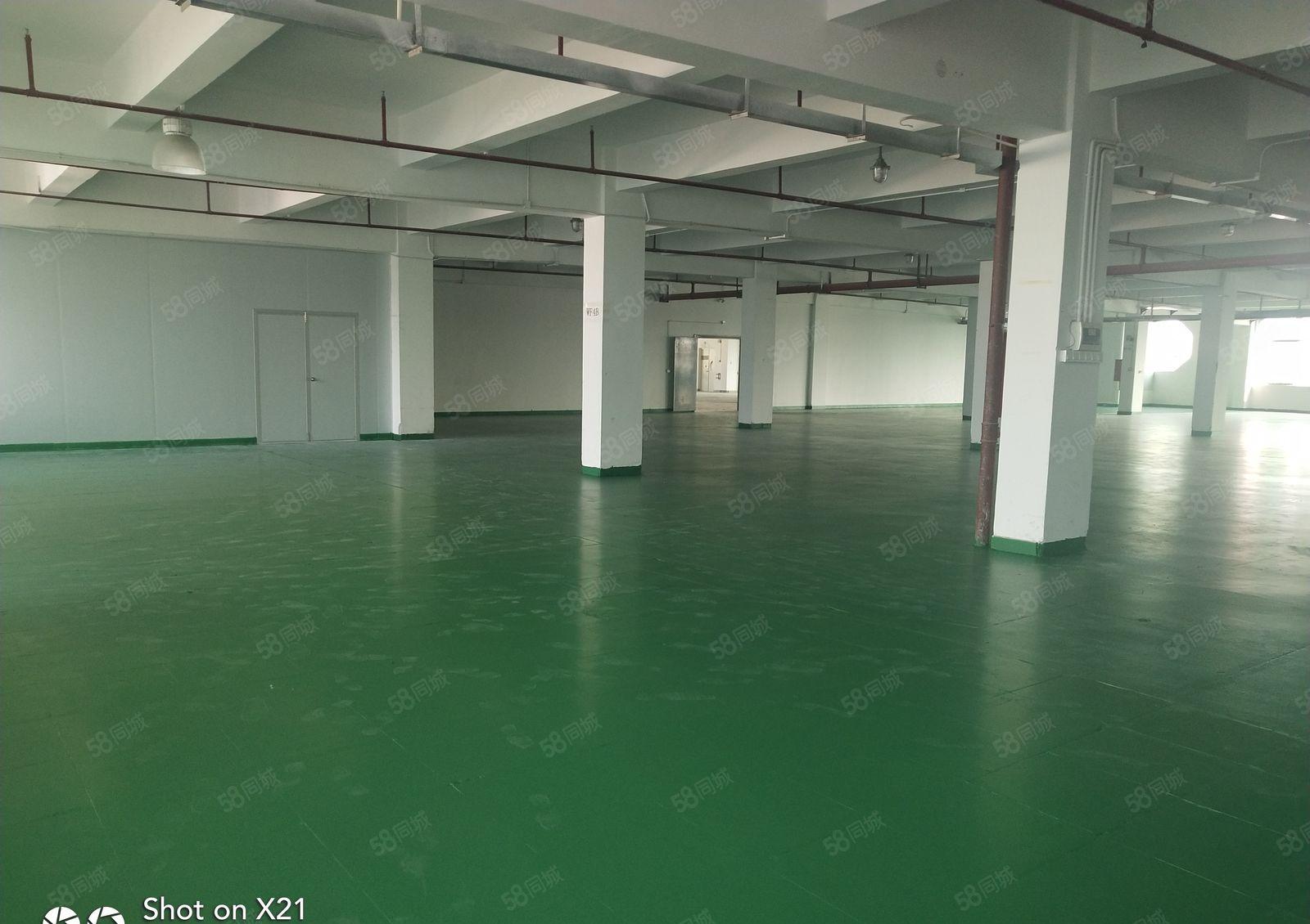 观澜主干道上独院厂房4100平米，每层1025平米，可分租