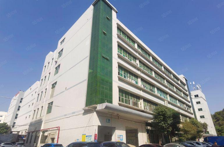 低价观澜地铁口原房东5000平独院仓库厂房出租100起可分租