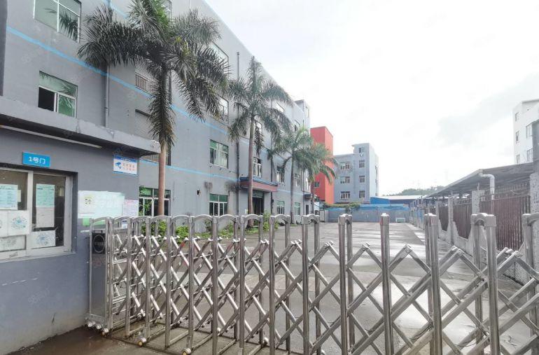 龙华地铁口新出红本原房东独院7100平厂房出租可分租一楼6米