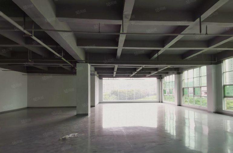 龙华双地铁口带装修红本研发楼厂房可办公1000平