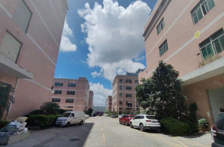 龙华原房东工业园区独栋厂房滴水7米980平起分租带牛角空地大