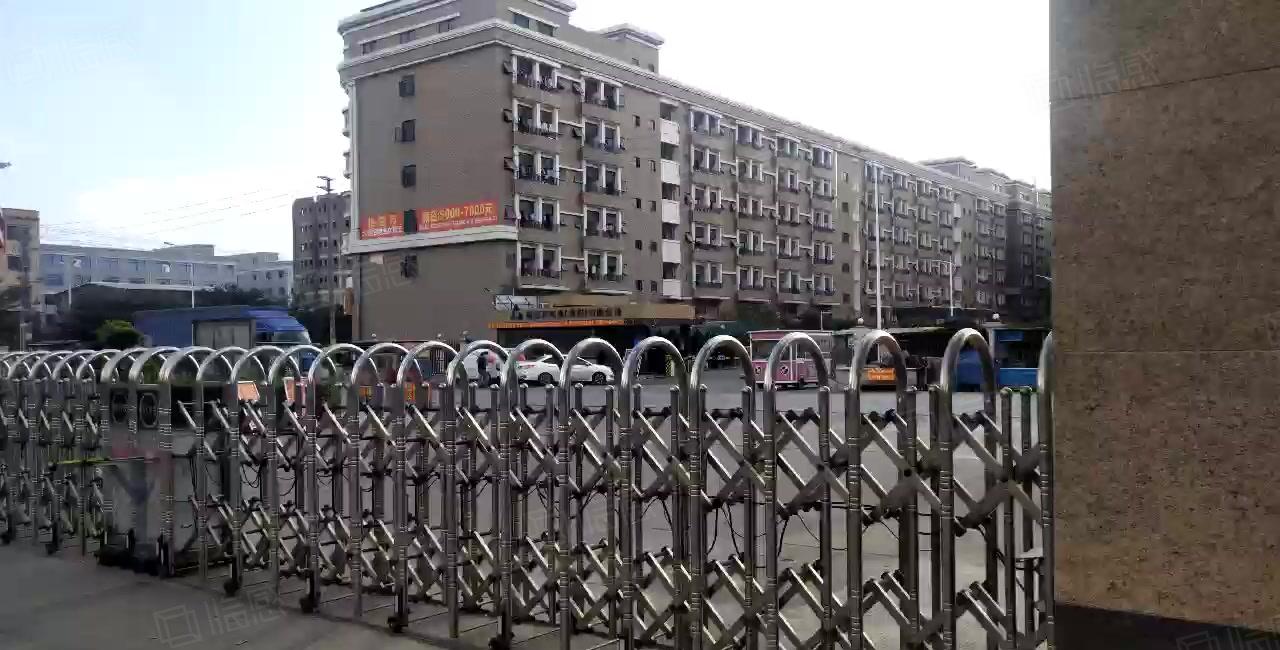 200平起分租观澜湖原房东35000平红本独门独院厂房出租