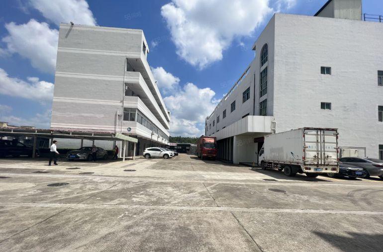 龙华大浪原房东一楼厂房1200平仓库出租带卸货台形象好易招工