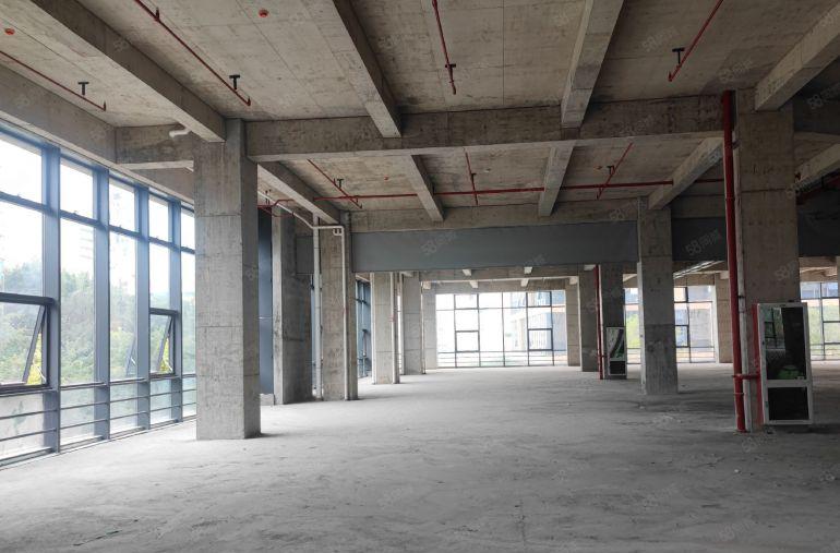 观澜高时九龙山科技园1000平精装厂房28元起