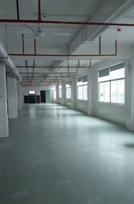 业主出租龙华河背工业区（一楼）450平米工业厂房