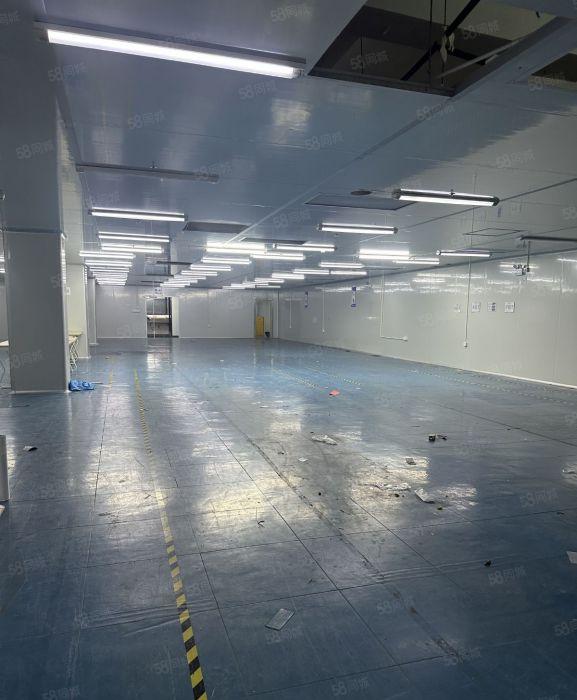 龙华大浪商业中心附近整层1500 原房东 现成无尘车间出租