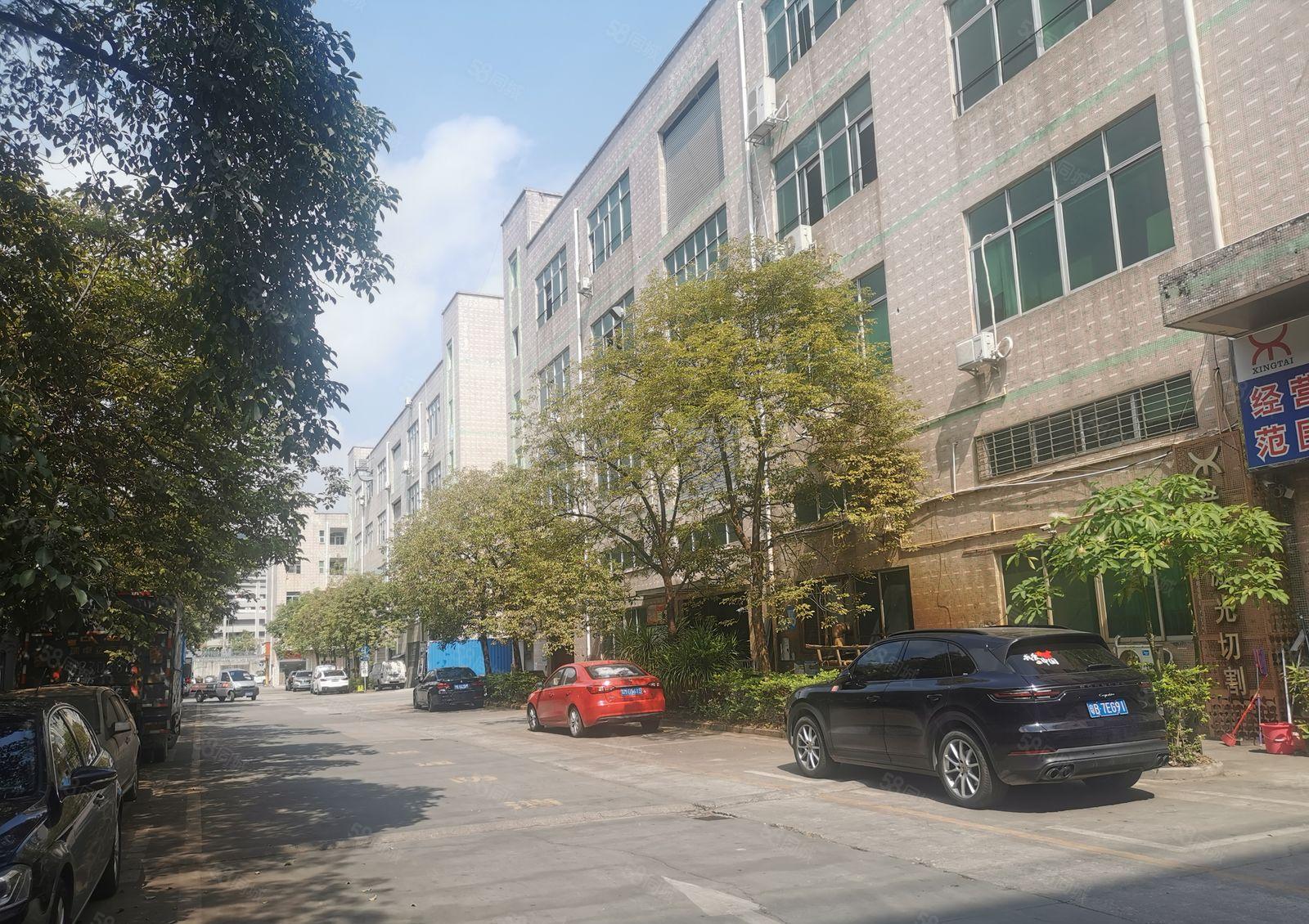 樟坑径环观南路边大型园区楼上一整层1200平米厂房出租