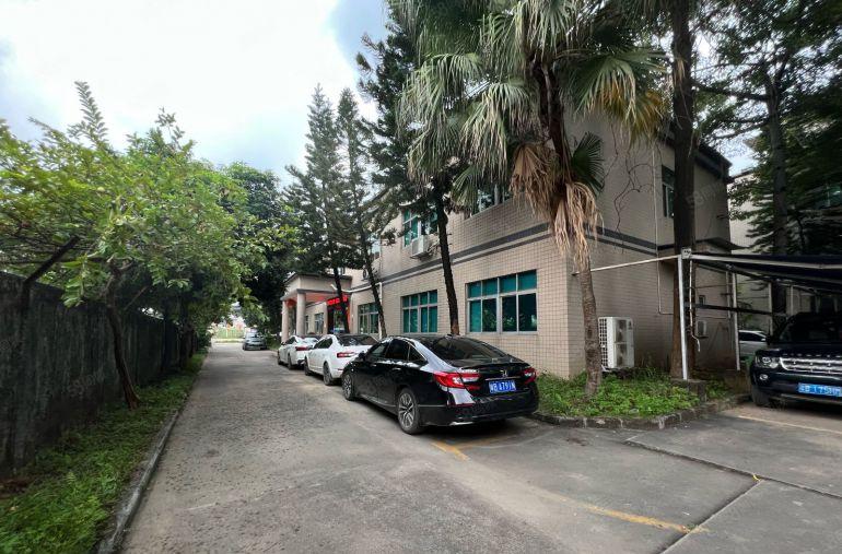 观澜原房东花园式独院厂房8500平方出租层高6米托头随进