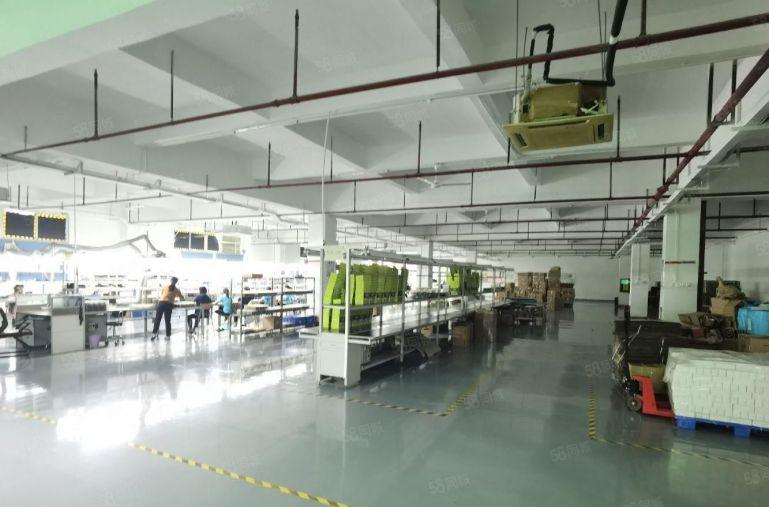 观澜精装修红本厂房出租一楼楼上3000平米原房东小面积200