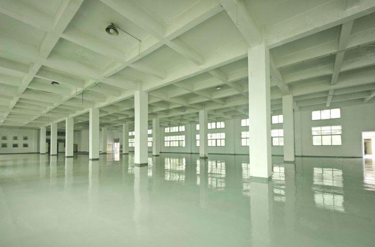 龙华原房东200平方至1000平方可分租 精装修厂房仓库出租