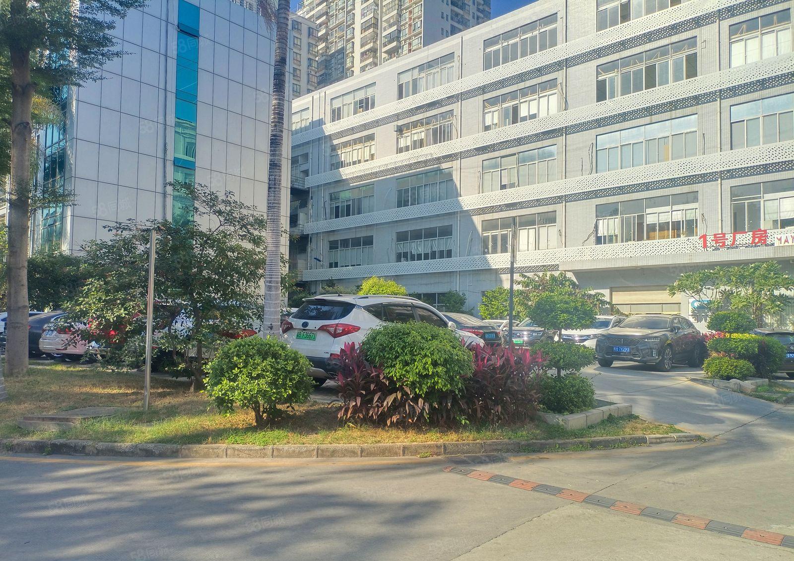 龙华油松花园式厂房整层3000平，200平起分租空地大好停车