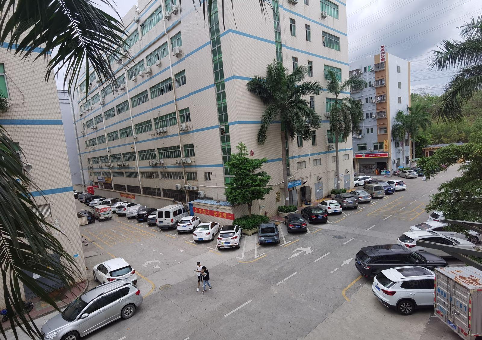 龙华大浪华宁路红本园区二楼1380平米出租形象好空地大好停车