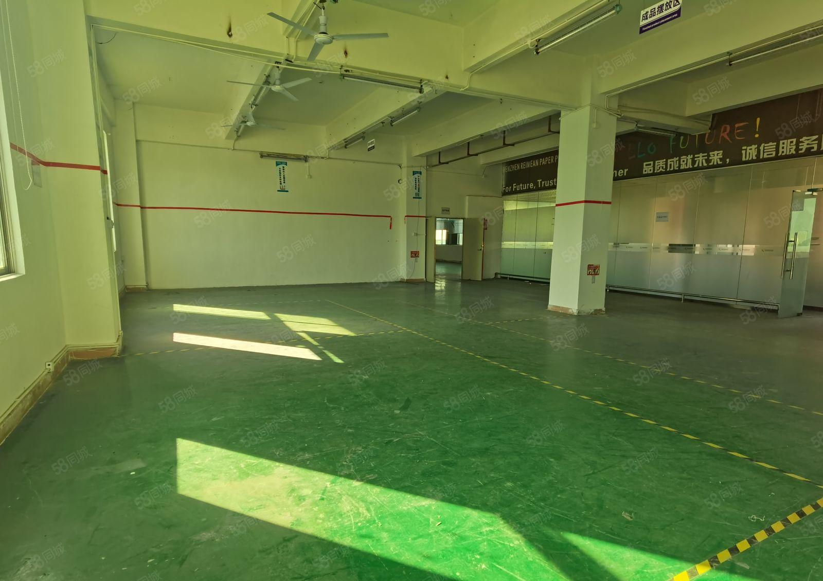 龙华大浪浪口原房东标准厂房楼上整层900平米出租有现成办公室