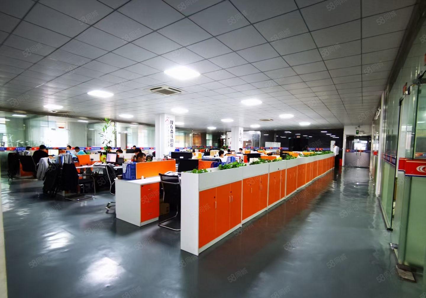 大浪南路厂房，整层精装，2100平，办公加生产，停车交通方便